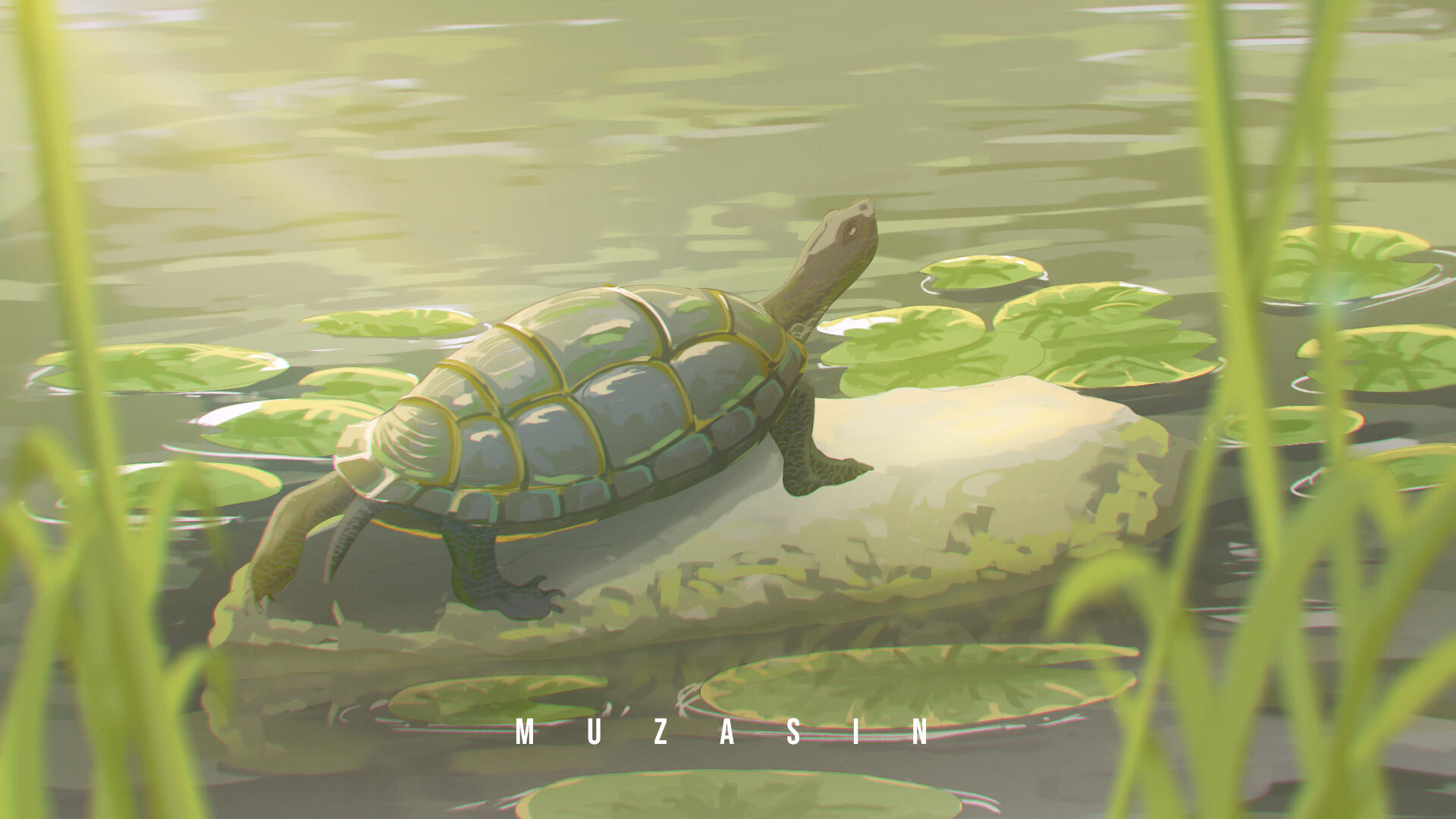 Turtle Sun Bathing